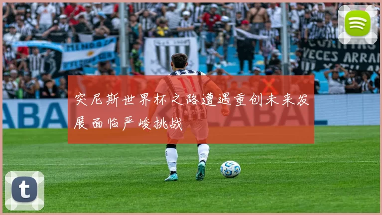 突尼斯世界杯之路遭遇重创未来发展面临严峻挑战